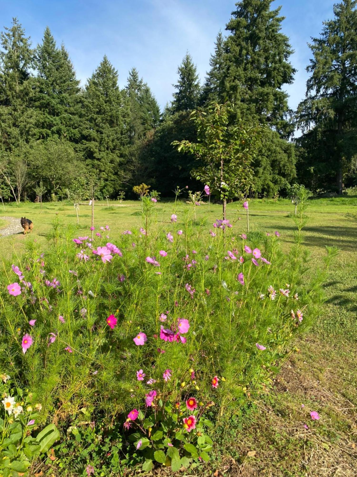 Maison Dans Parc Prive, Sports Et Loisirs Proche Golf Du Coudray Montceaux