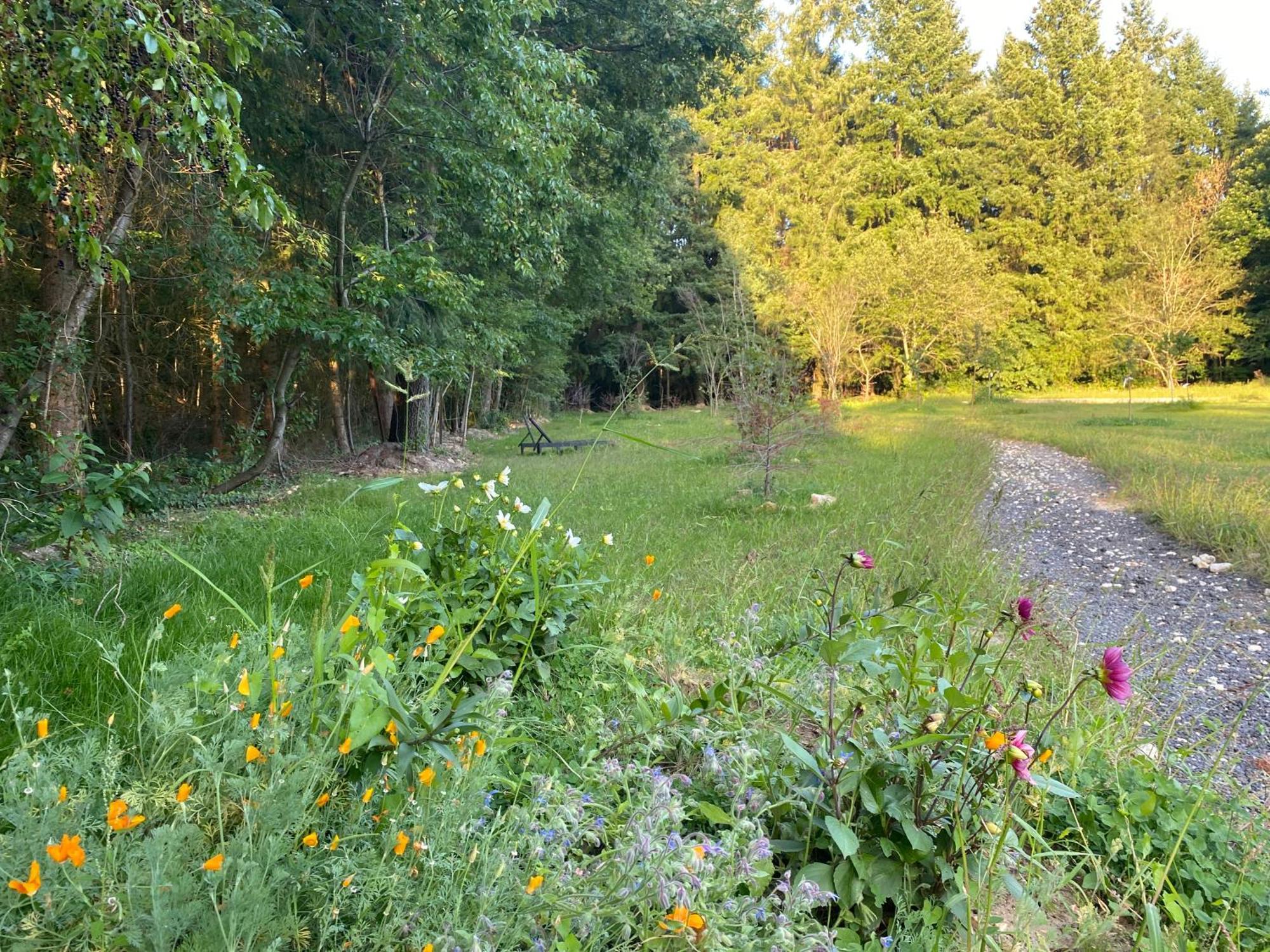 Maison Dans Parc Prive, Sports Et Loisirs Proche Golf Du Coudray Montceaux